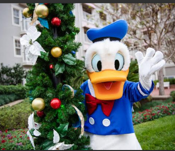 <i>Walt Disney World<sup>®</sup></i> Resort : Save Up to 20% on Rooms This Holiday Season